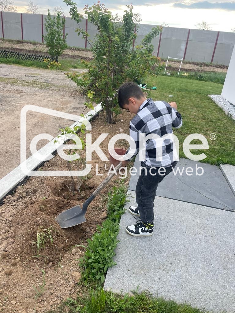 Jeune garçon plantant un arbre à côté d'un chemin pavé.