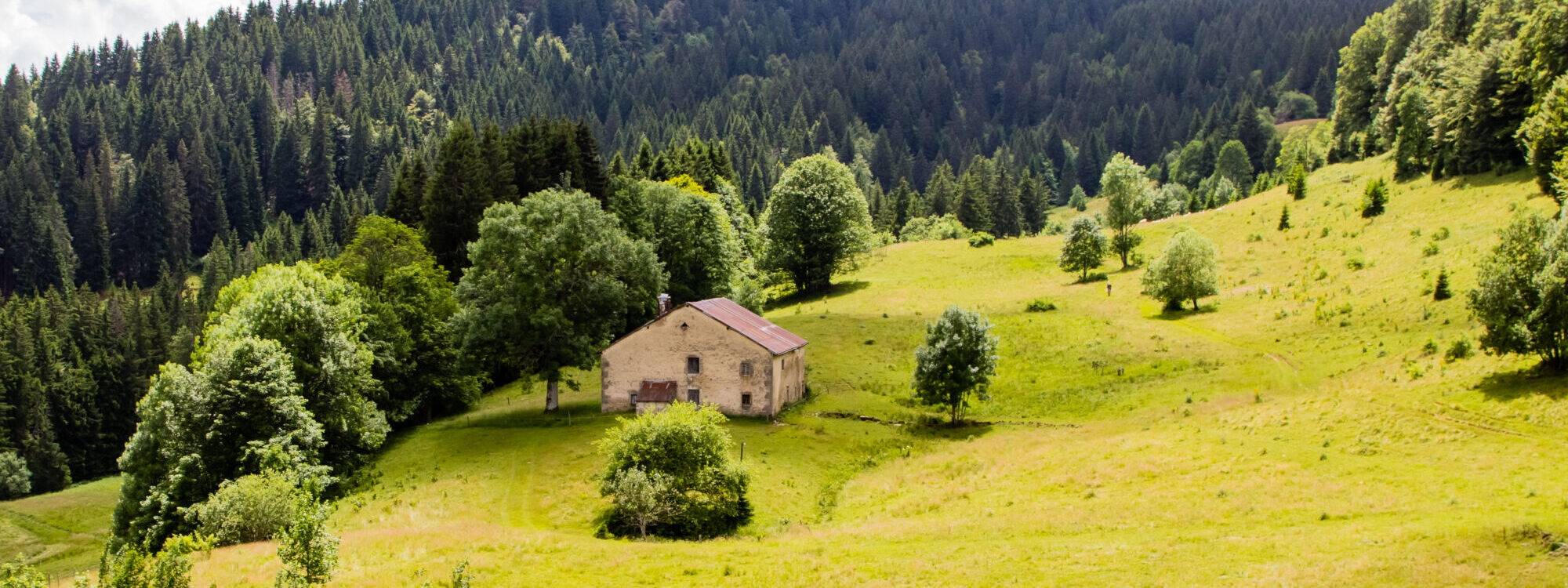 Maison isolée dans la campagne verdoyante avec forêt et montagnes en arrière-plan.