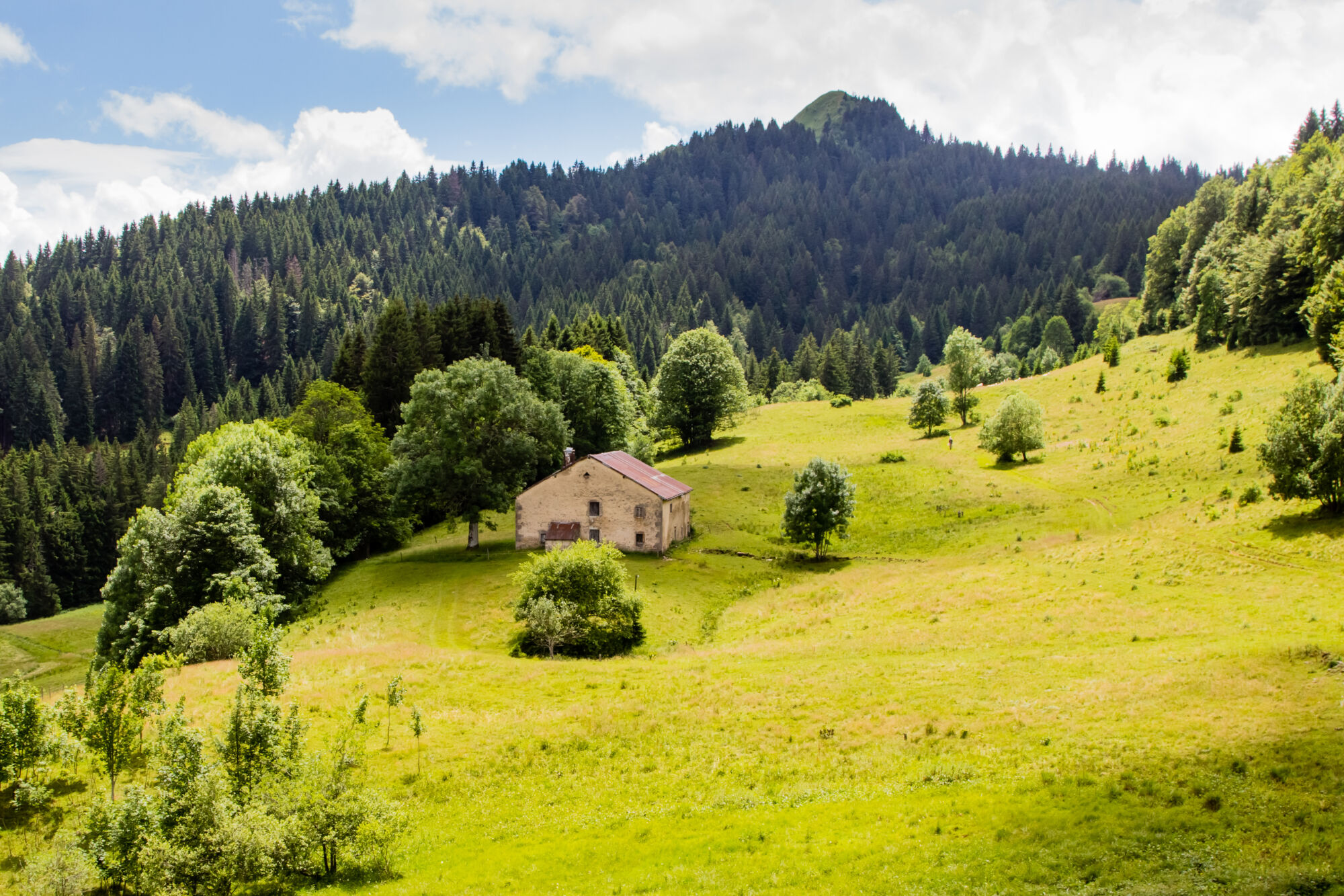 Maison isolée dans la campagne verdoyante avec forêt et montagnes en arrière-plan.