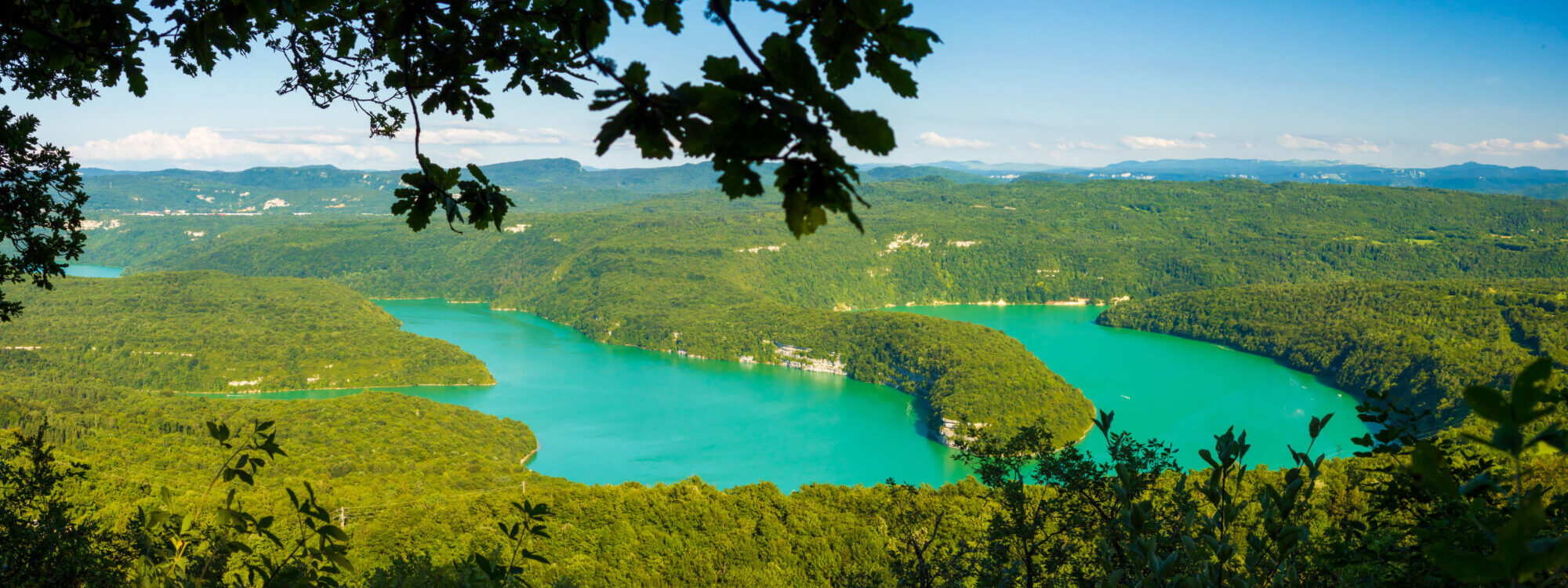 Vue panoramique sur un lac sinueux entouré de forêts vertes.